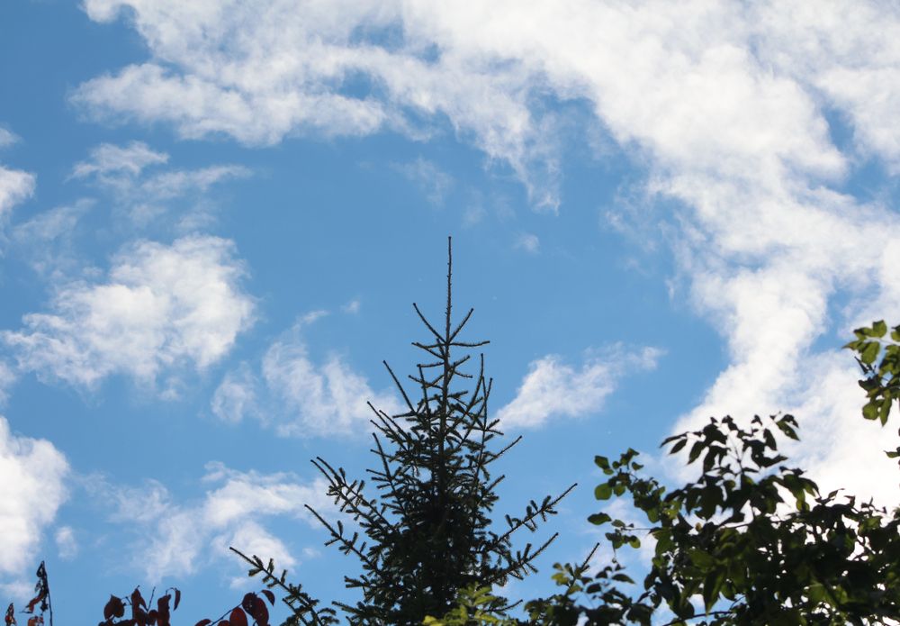 Photograph by Kim Natasha