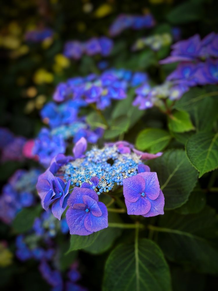 Photograph by Юлия Порфирьева