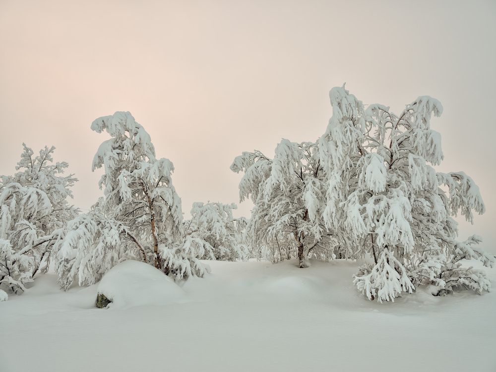 Photograph by Ворошилов Александр