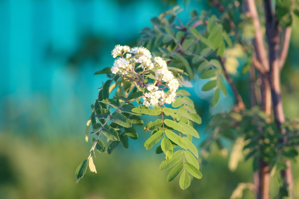 Photograph by Kim Natasha