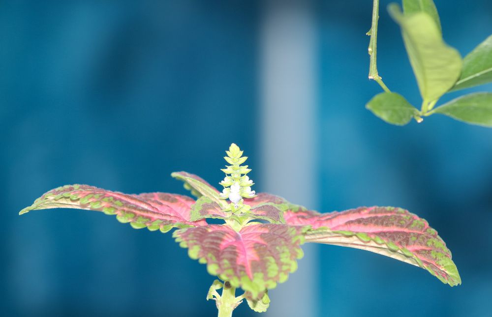 Photograph by Kim Natasha