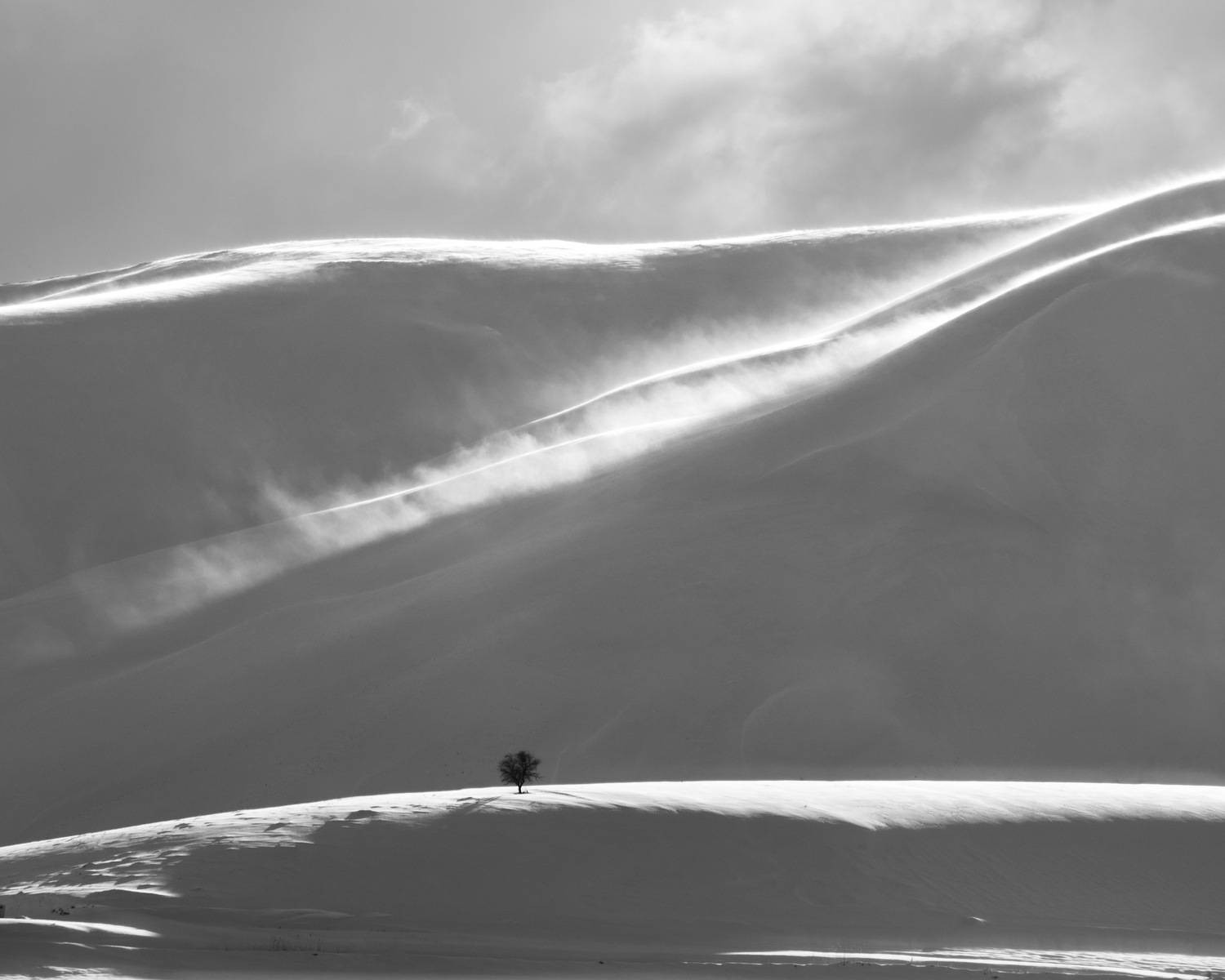 Фотография #13163924