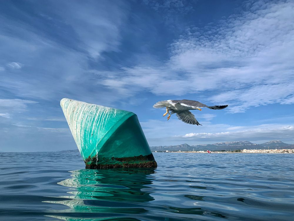 Photograph by Rosa Maria Vilella Sabaté