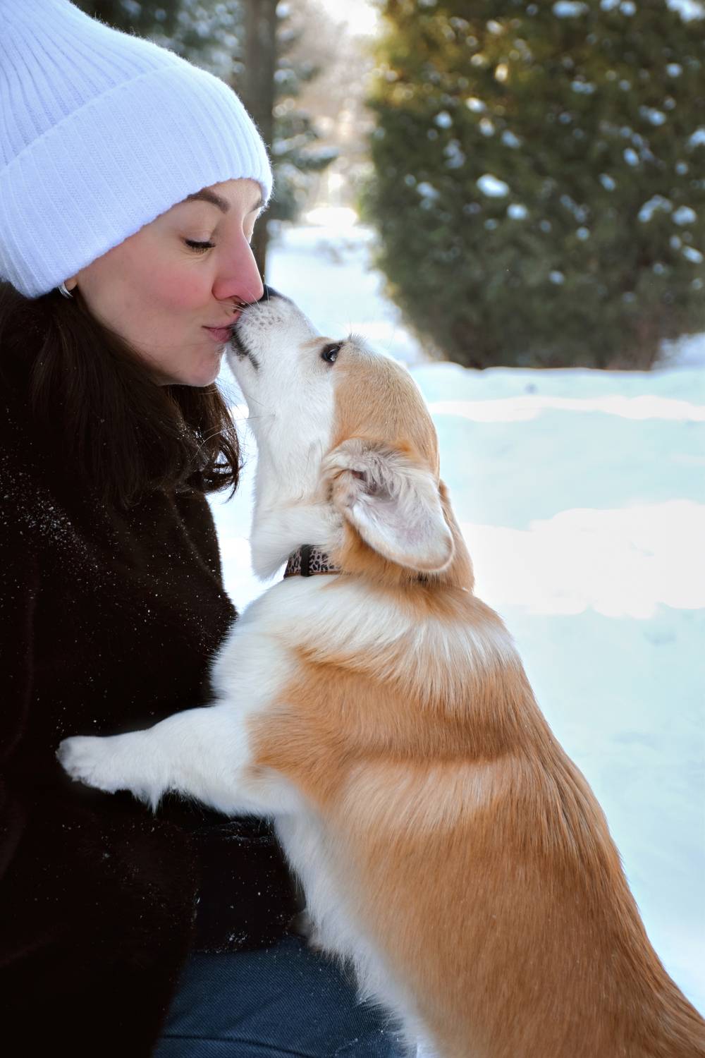 Фотография #13163947