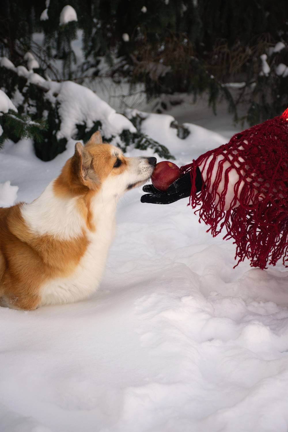 Фотография #13163950