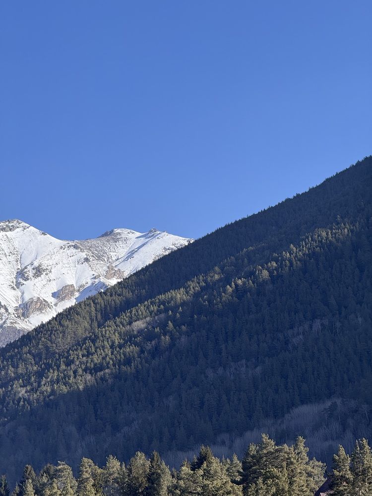 Photograph by Бойкова Наталия