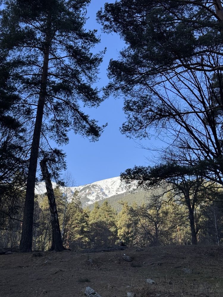 Photograph by Бойкова Наталия