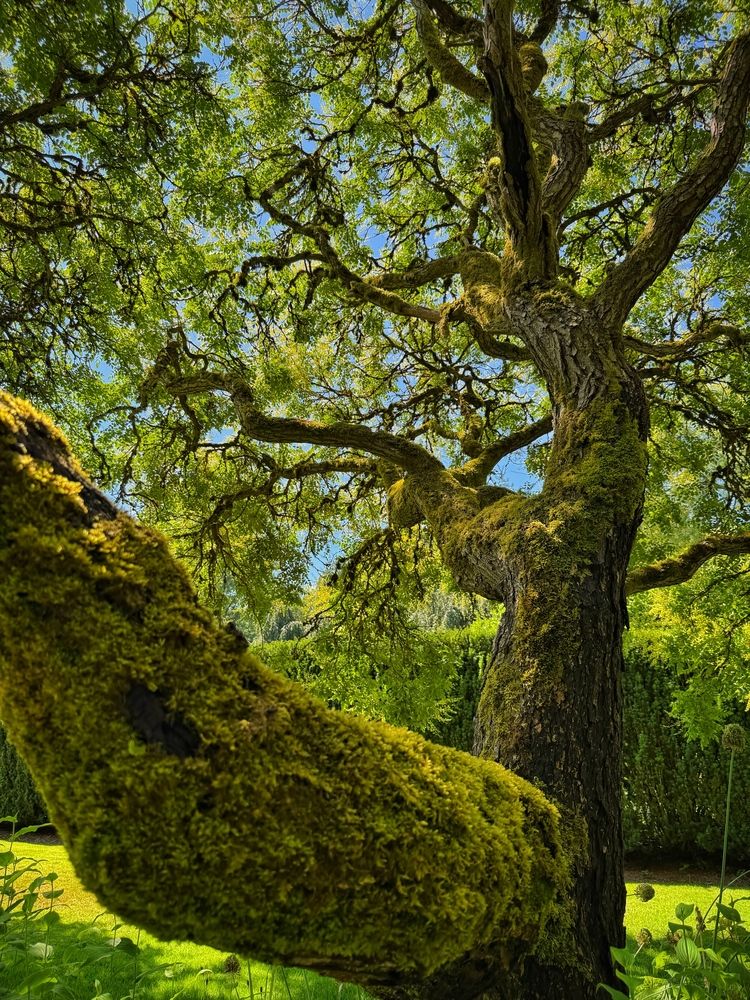 Photograph by Юлия Порфирьева