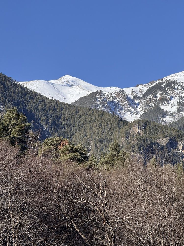 Photograph by Бойкова Наталия