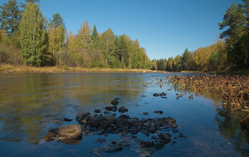Photograph by Василий Быстрицкий