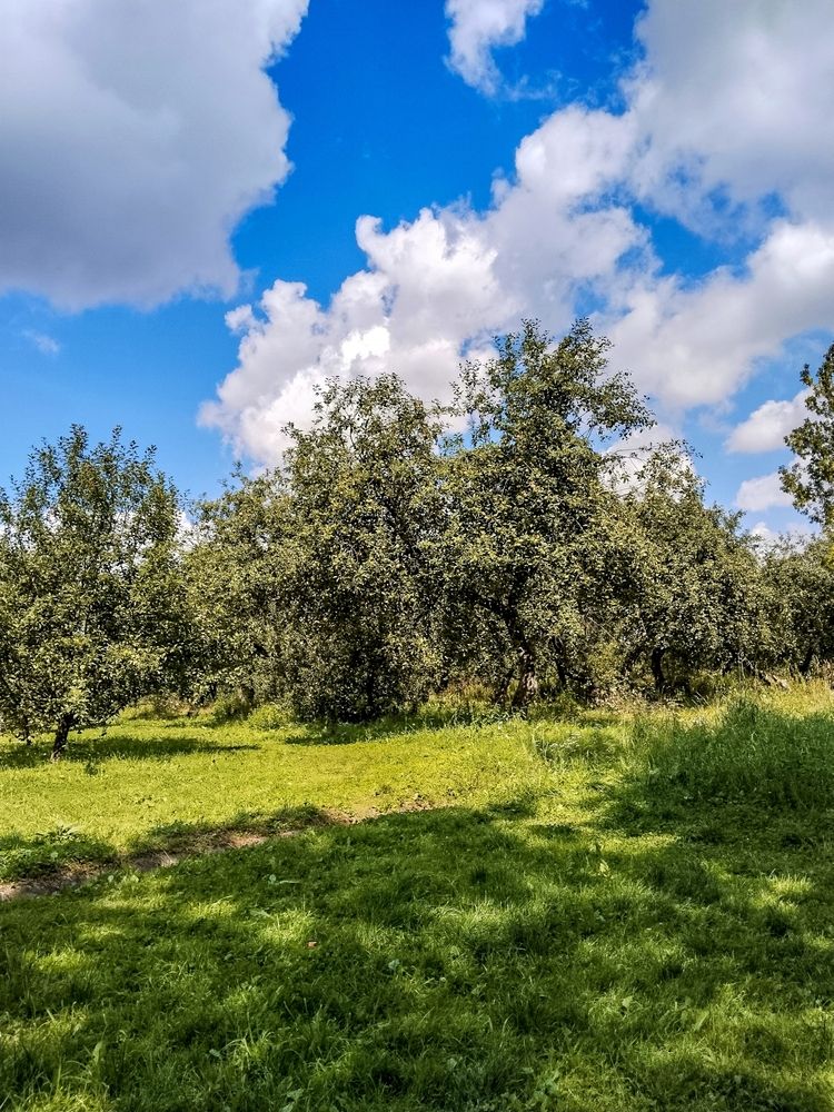 Photograph by Sergey Kurkov-Tarkovsky