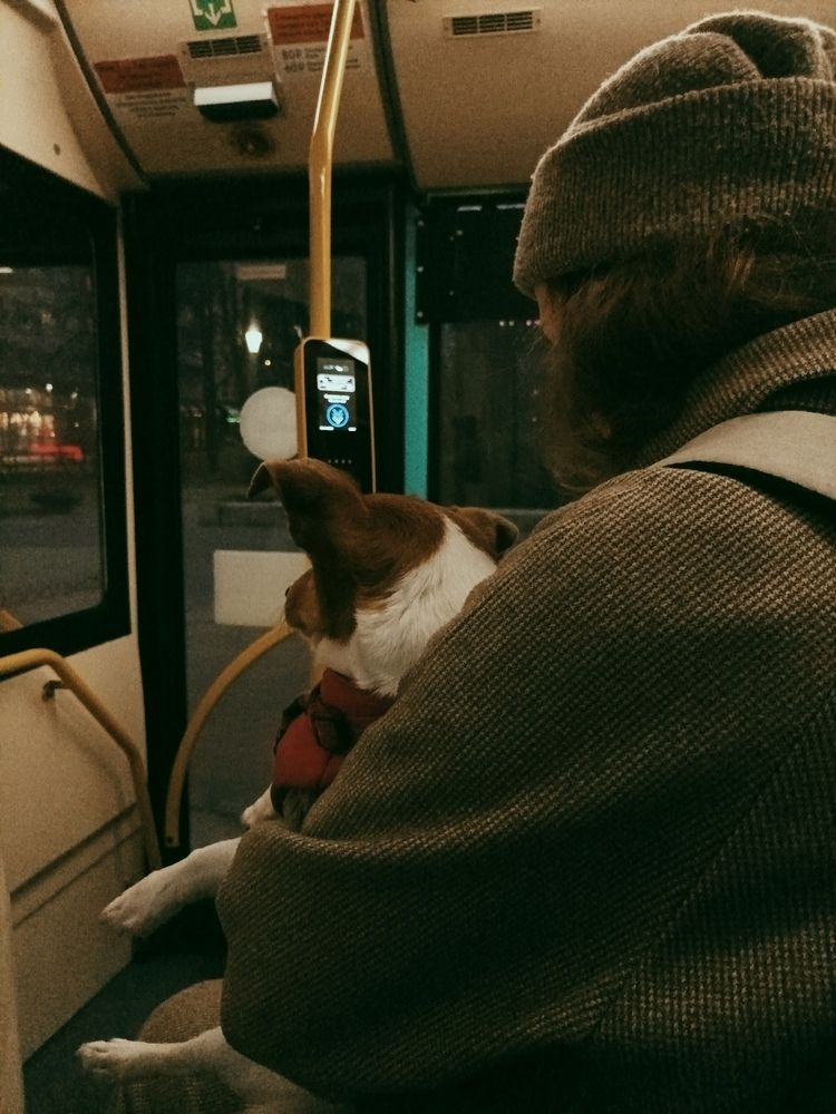 Photo #13164058