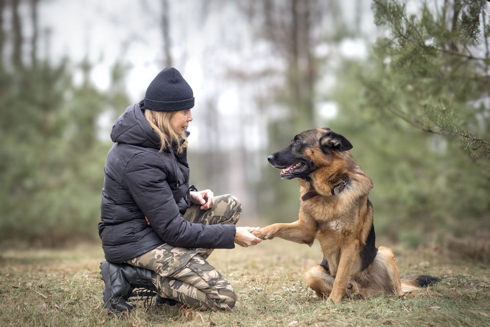 Photograph by Любовь Головина