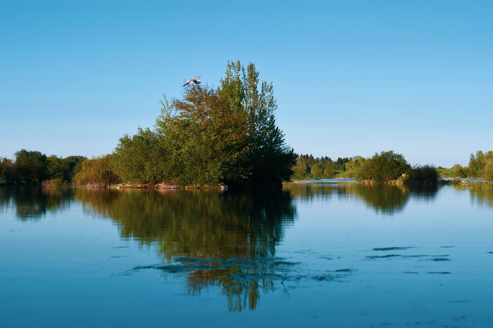 Photograph by Светлана Гордиенко