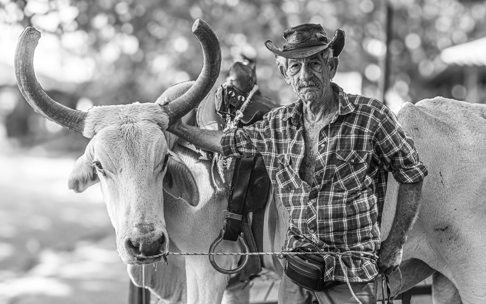 Photograph by Eddy Vittini