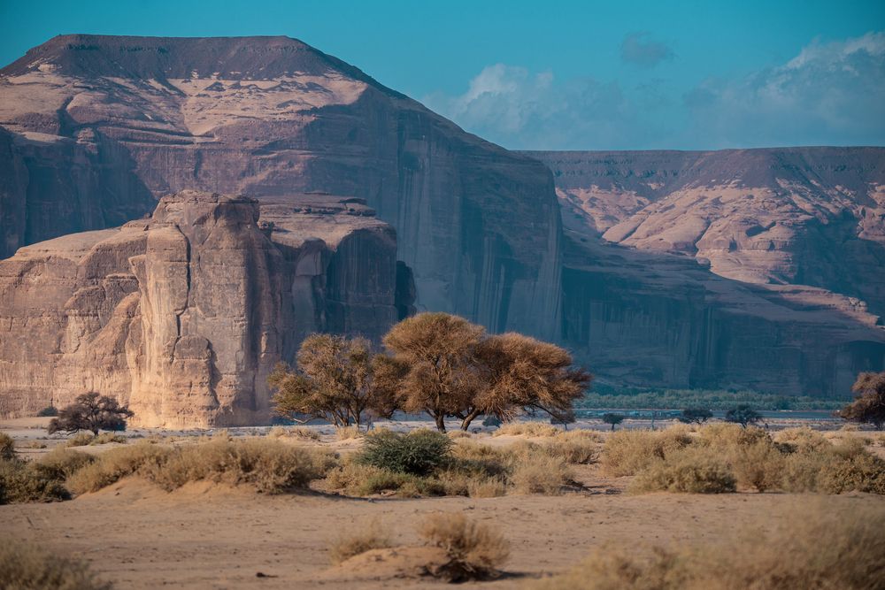 Фотография автора Talal Abodeshish