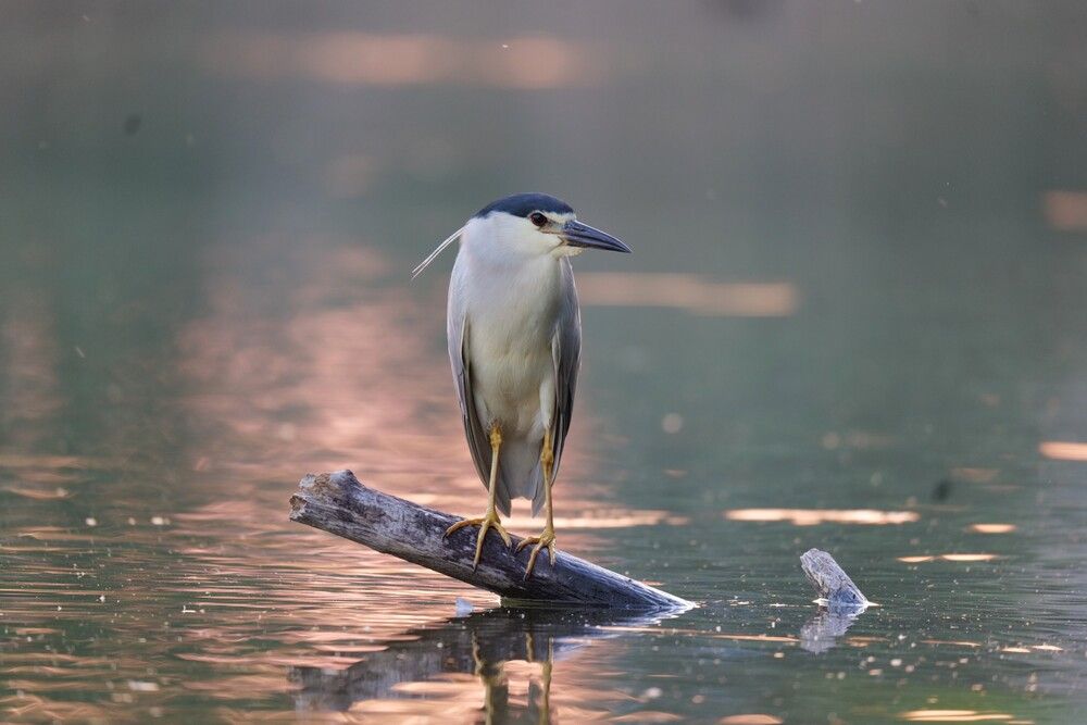 Photograph by Оксана Архипова