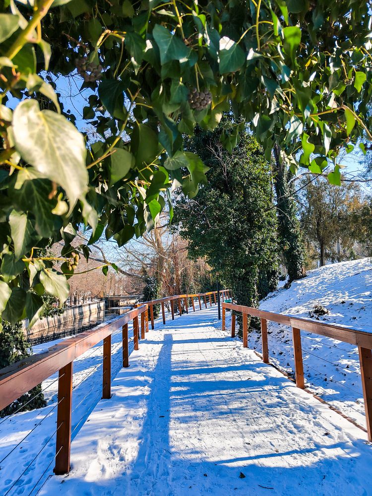 Фотография автора Наталья Королева