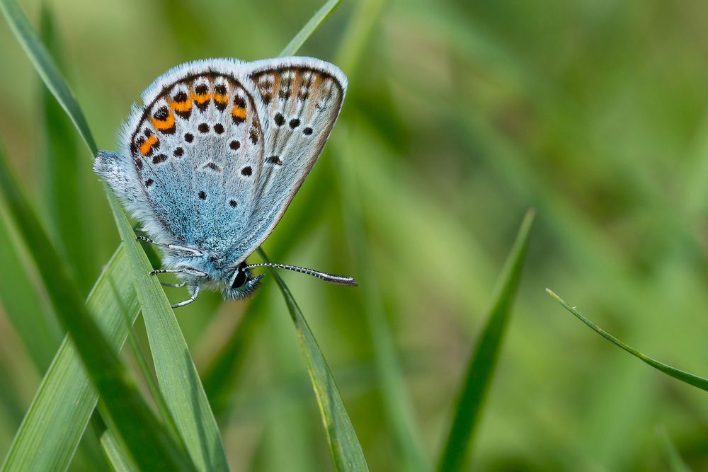 Фотография автора Сергей Молоков