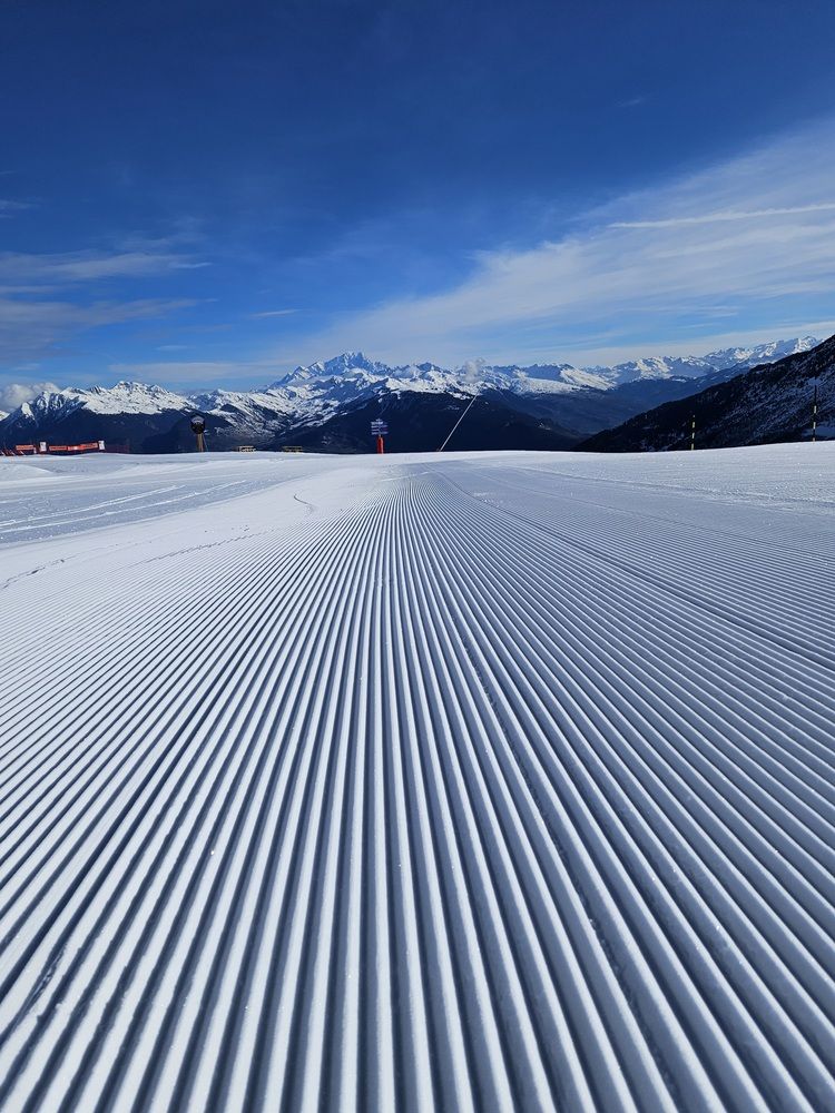 Фотография автора Elena Polonetskaya