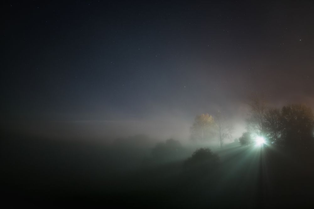 Photograph by Владимир Портуаров