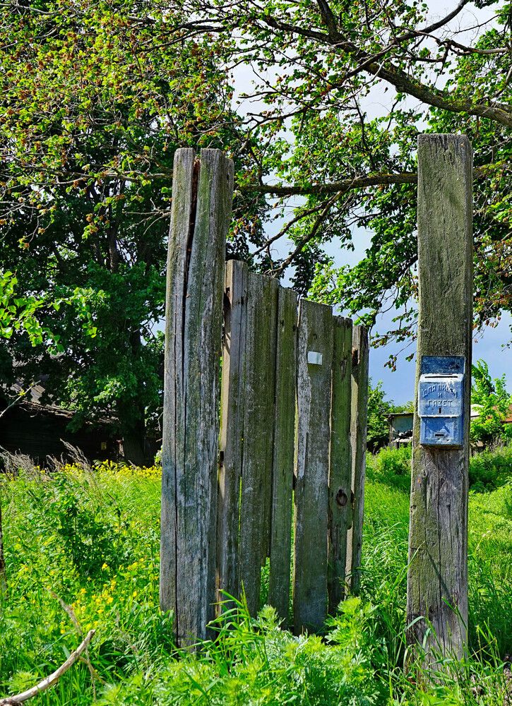 Photograph by Игорь Пшеничников