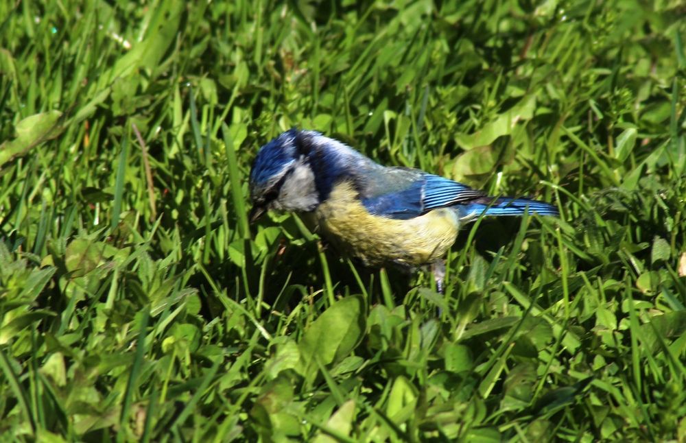 Photograph by Валентина