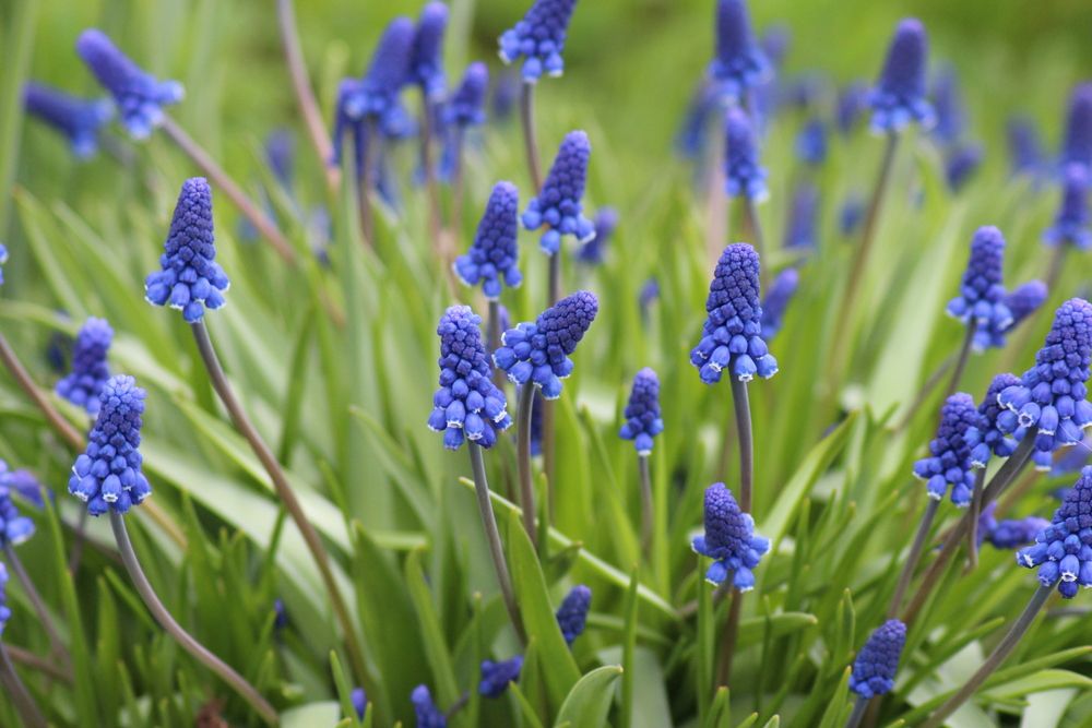 Photograph by Валентина