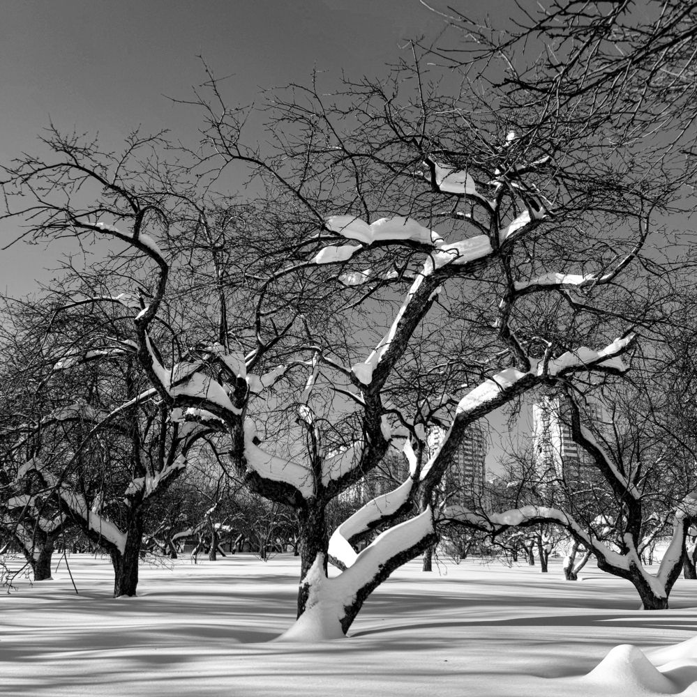 Photograph by Владимир Баулин