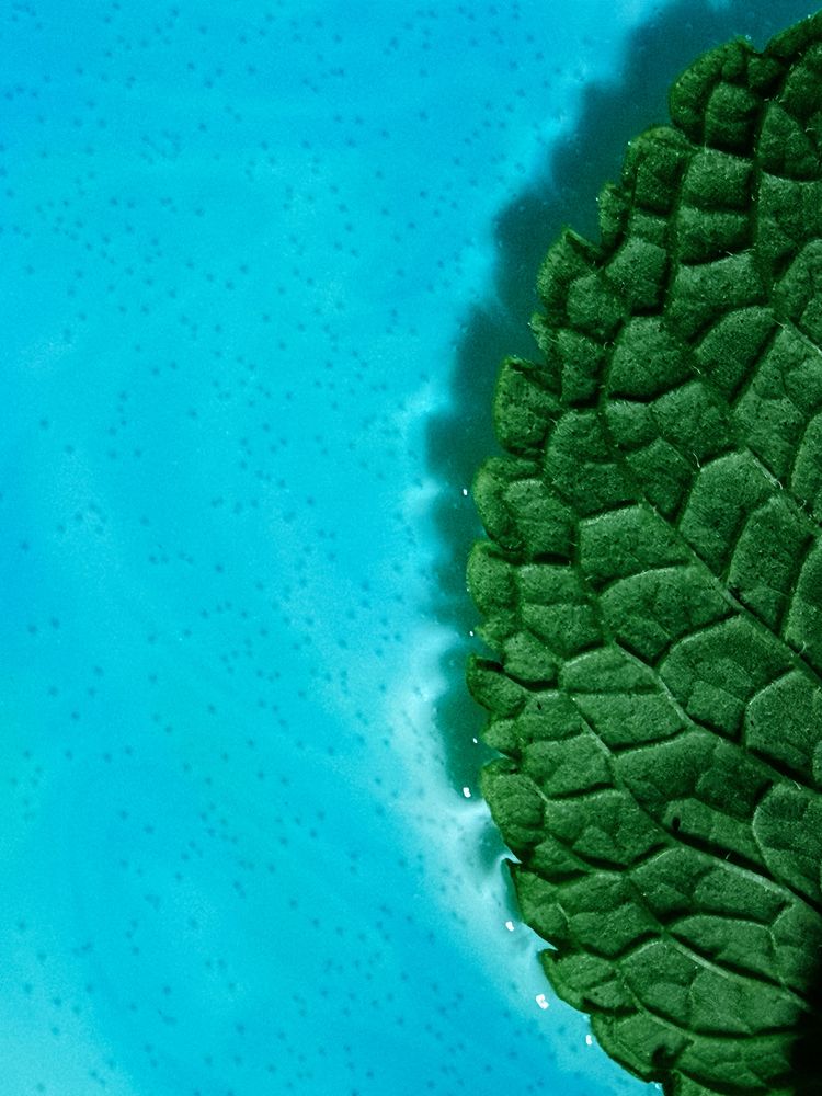 Фотография автора Елена Чулюнина