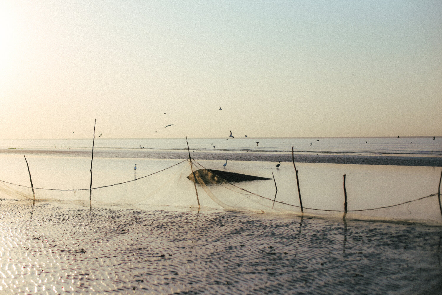 Photo #13164361