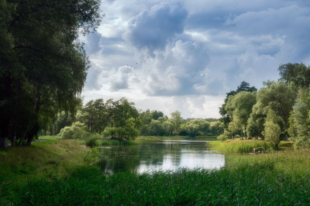 Летний день в подмосковье