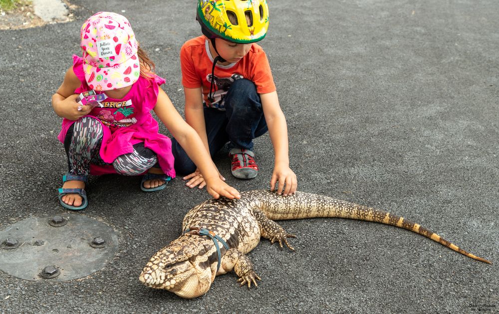 Фотография автора Denis Michelin