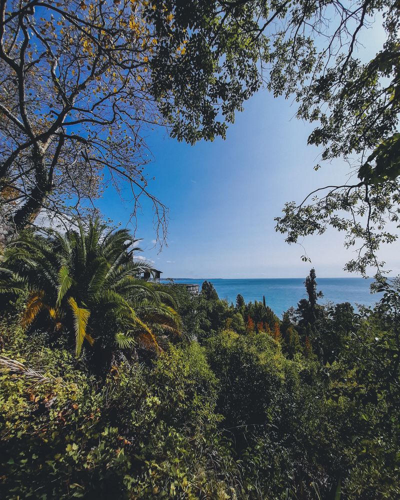 Photograph by Александра Ельникова