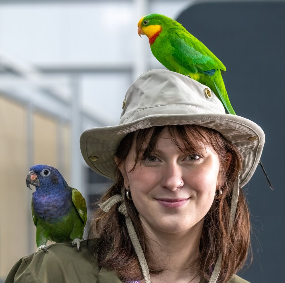 Фотография автора Denis Michelin