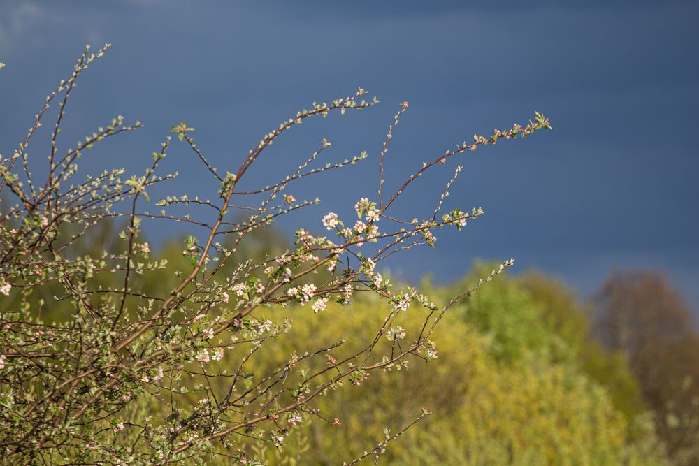 Фотография автора Алина Руденко