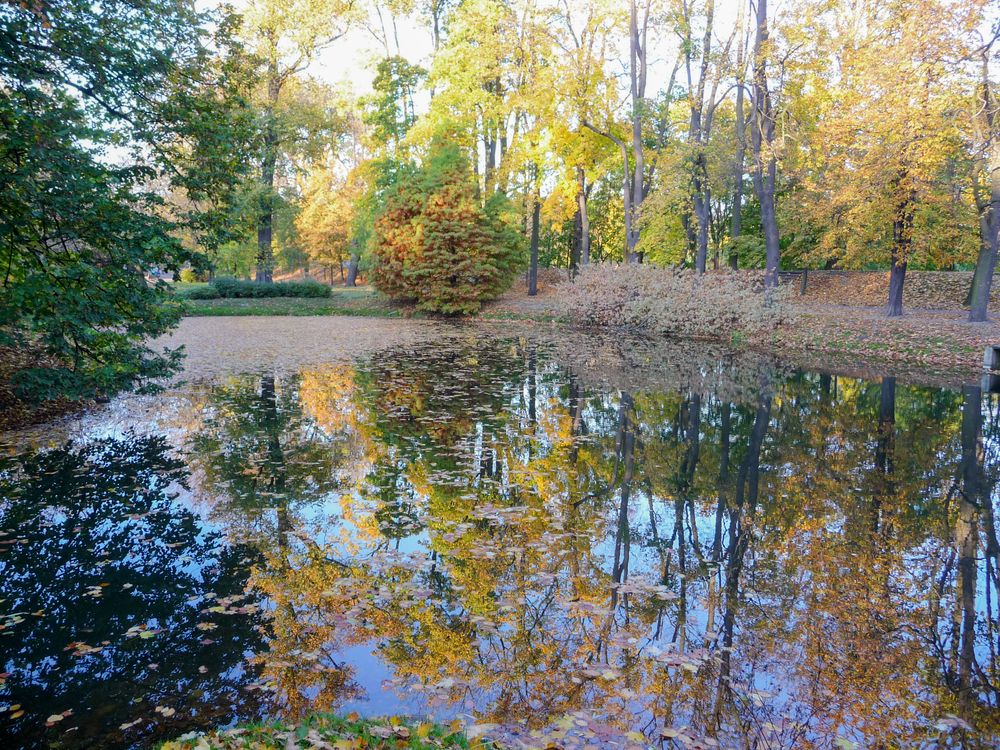 Фотография автора Denis Michelin