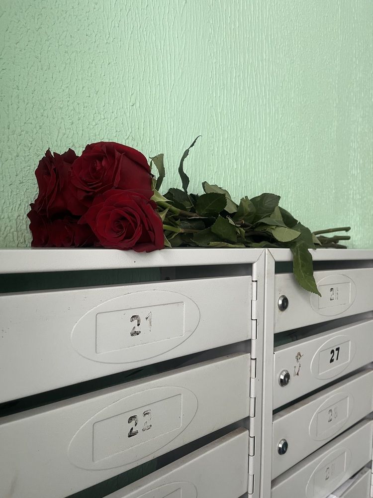 Фотография автора Виктория Ляпина