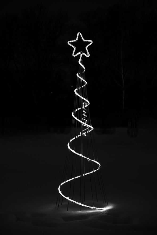 Фотография автора Олеся Скиба