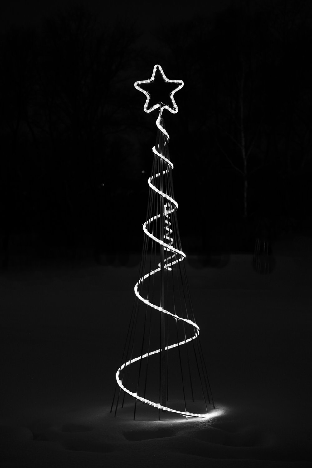 Photo #13164414