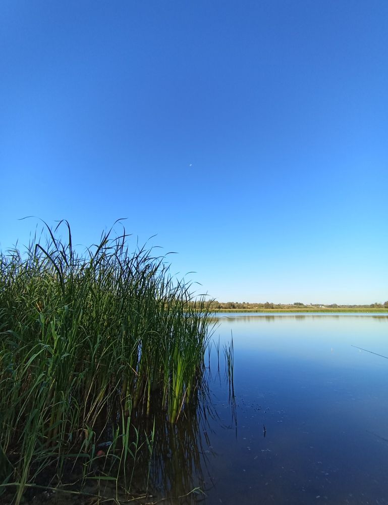 Photograph by Елена Коробченко