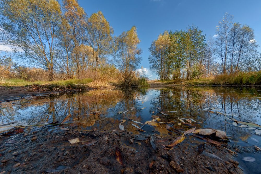 Фотография автора Владислав Шерман