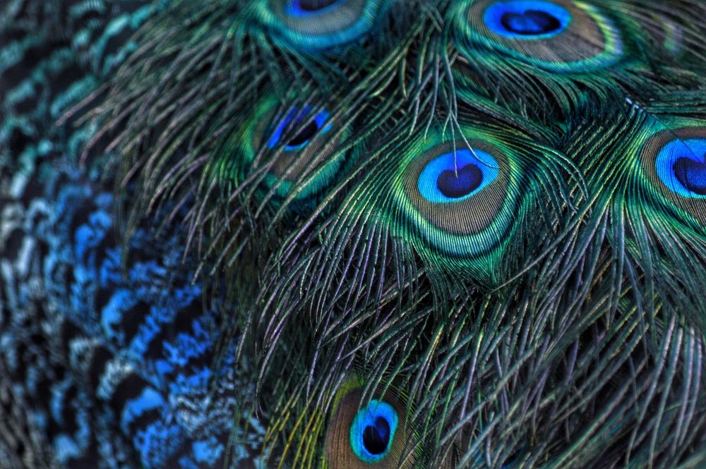 Photograph by Анна Зорька