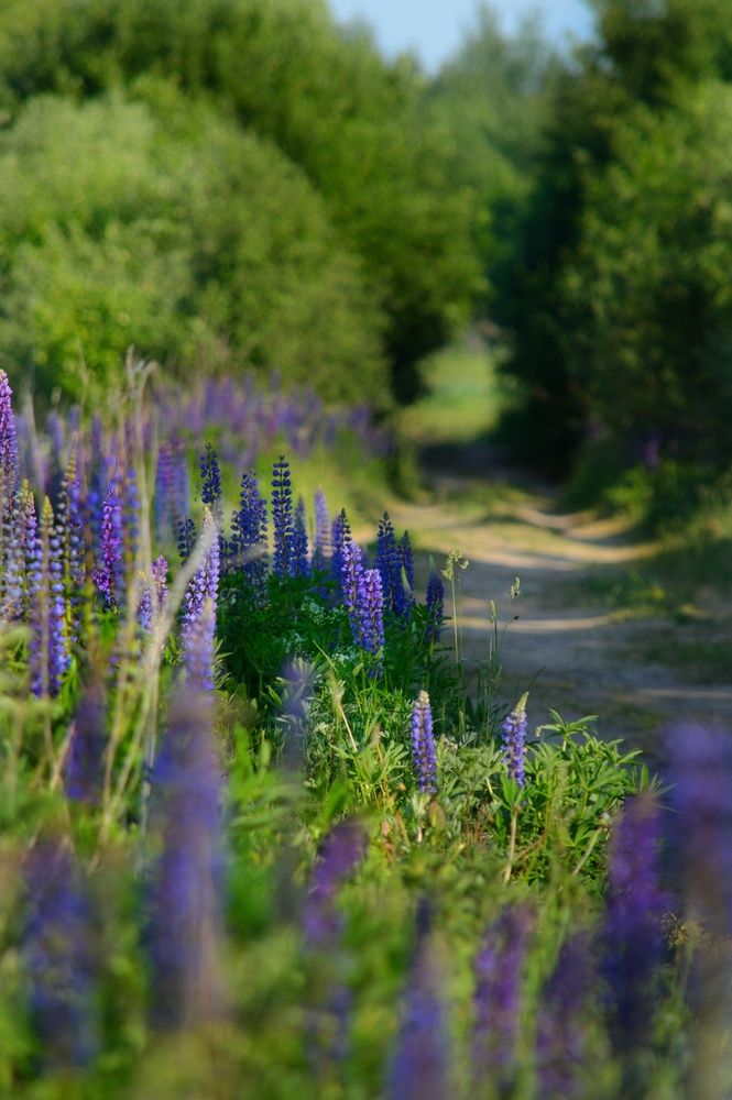 Photograph by Анна Зорька