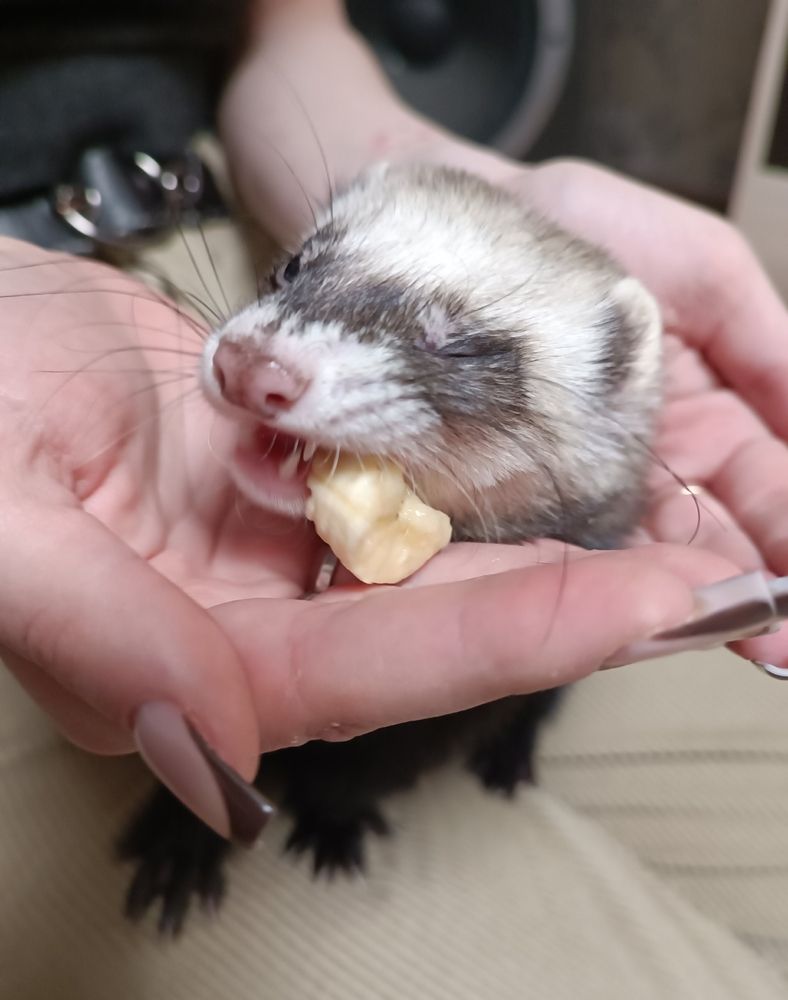 Photograph by Елена Калинина