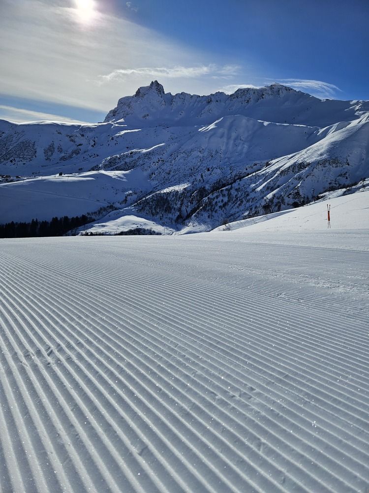 Фотография автора Elena Polonetskaya