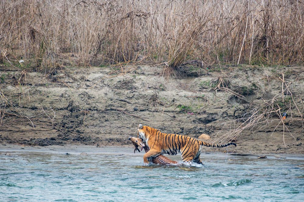 Photograph by Atul Sharma