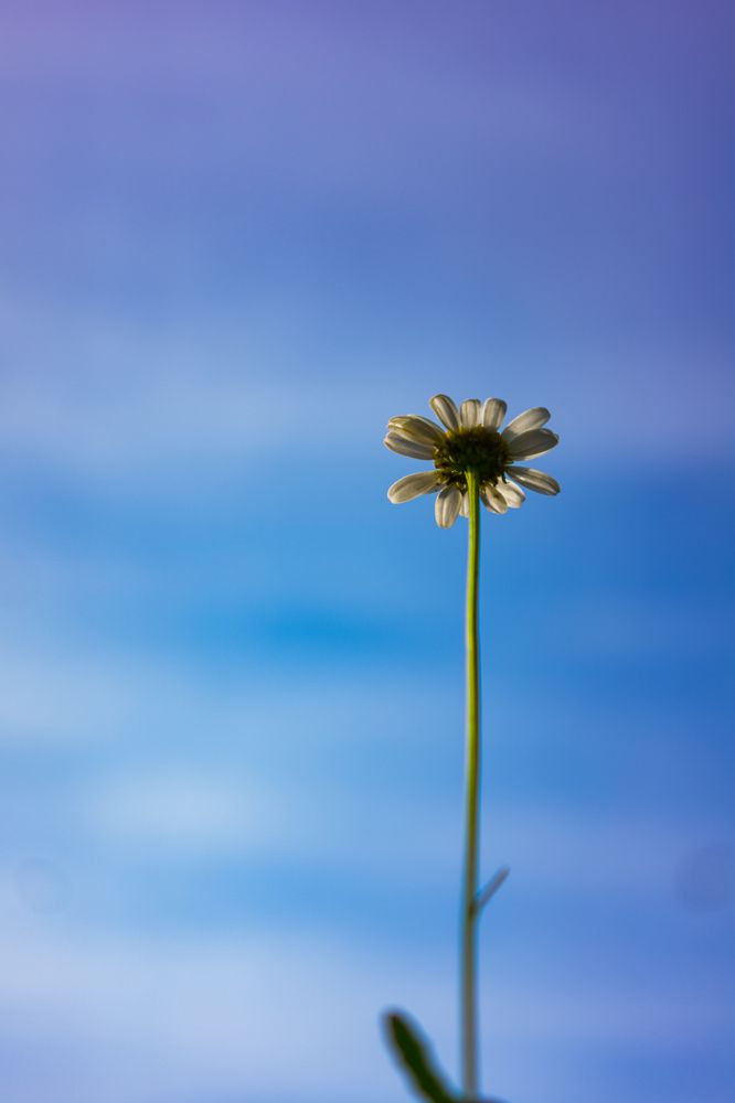 Photograph by NastЯ