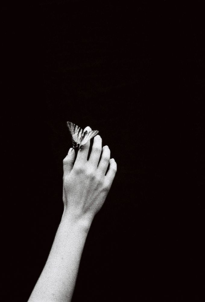 Photograph by Светлана Щемелева
