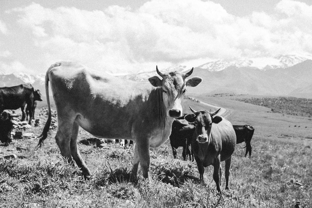 Фотография автора Наталия Столяр